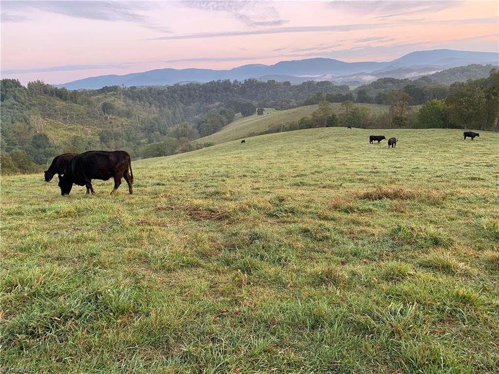 496 Osborne Memorial Road Sparta, NC 28675 - Photo 20 of 30 Sunrise at 496 Osborne Memorial Road, Sparta, NC