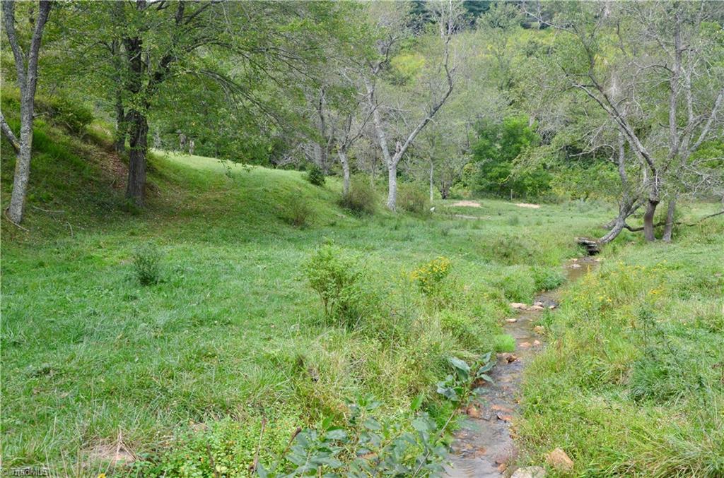 496 Osborne Memorial Road Sparta, NC 28675 - Photo 22 of 30 Fresh water spring that feeds into your part of Elk Creek.Also, the New River is +/- 1.5 miles away.