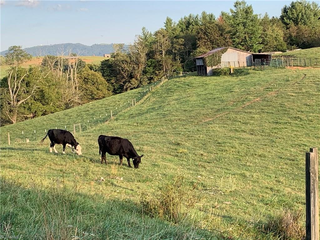 496 Osborne Memorial Road Sparta, NC 28675 - Photo 23 of 30 30'x40' barn