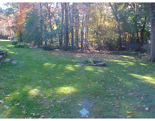 293 Hartman Road Newton, MA 02459 - Photo 8 of 8 a view of outdoor space with green field and trees