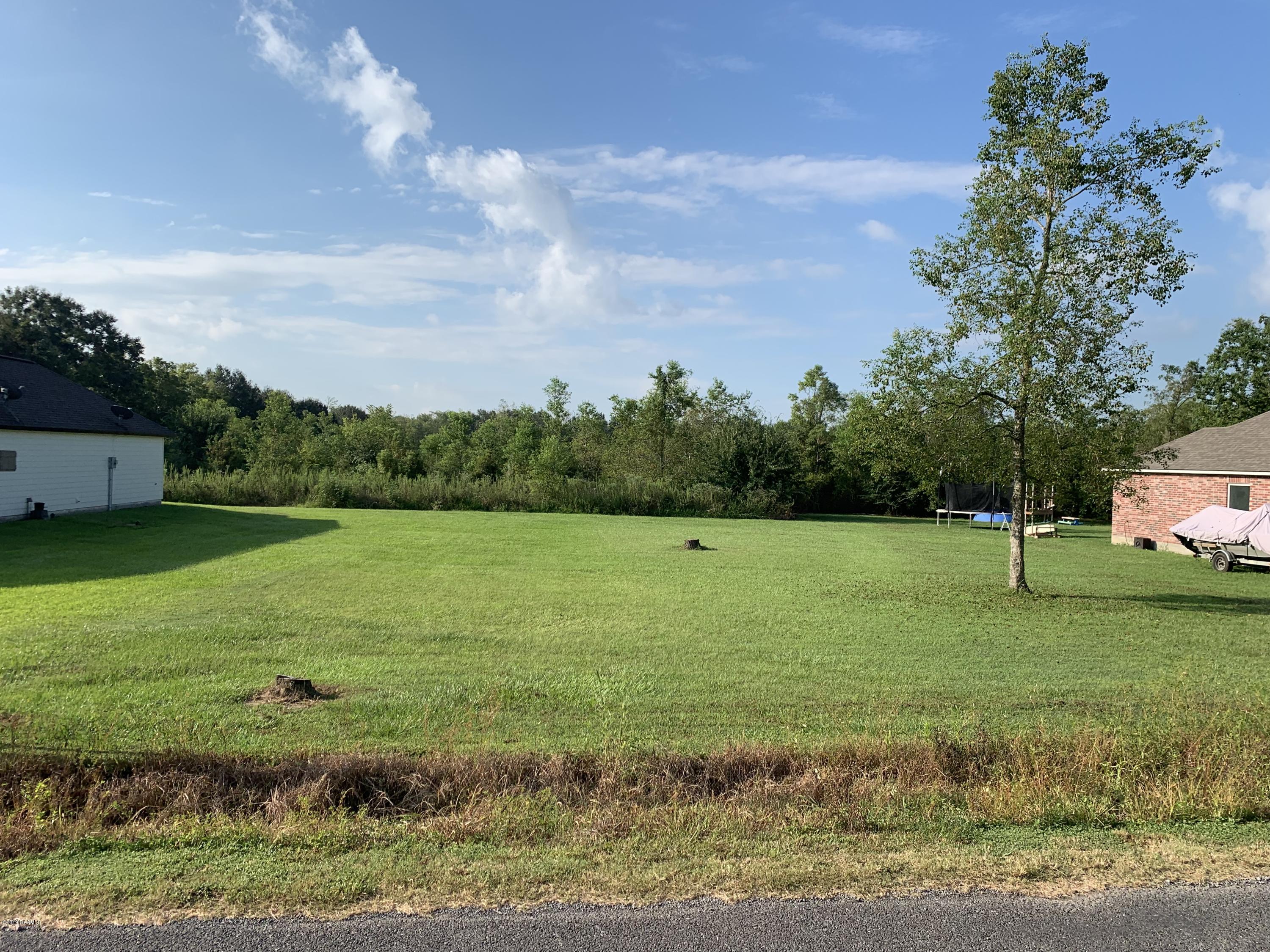 Tbd Hoover Road Maurice, LA 70555 - Photo 8 of 10 Gallery Image 8