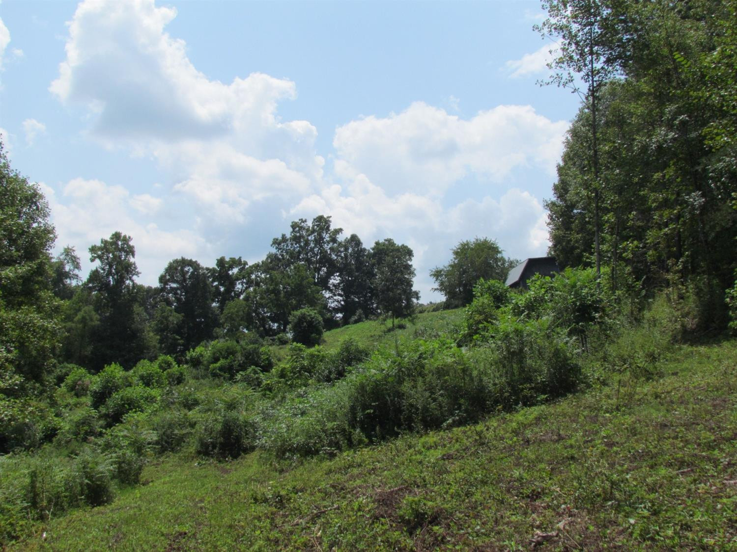 191 Old Barbourville Road Corbin, KY 40701 - Photo 4 of 4 Photo 4