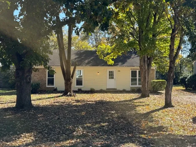 a view of a yard with a tree