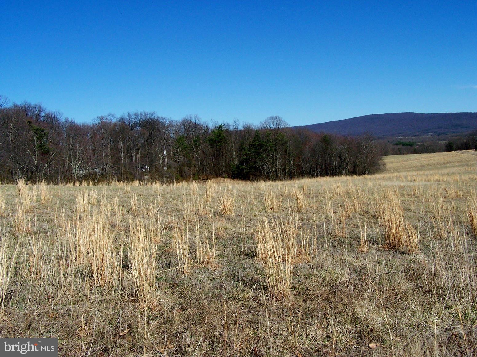 6757 Timber Ridge Road Berkeley Springs, WV 25411 - Photo 4 of 12 Exterior (General)