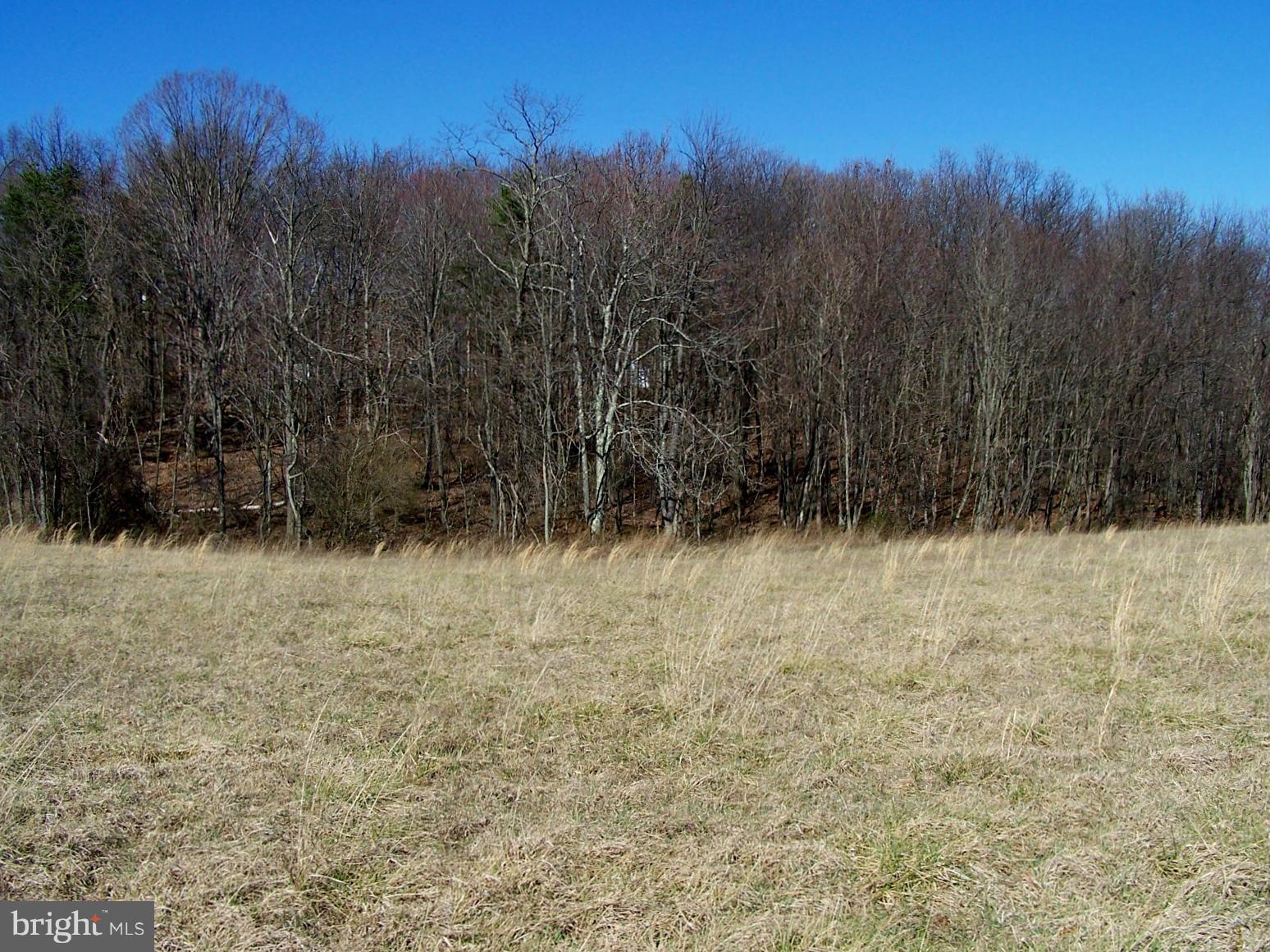6757 Timber Ridge Road Berkeley Springs, WV 25411 - Photo 6 of 12 Exterior (General)