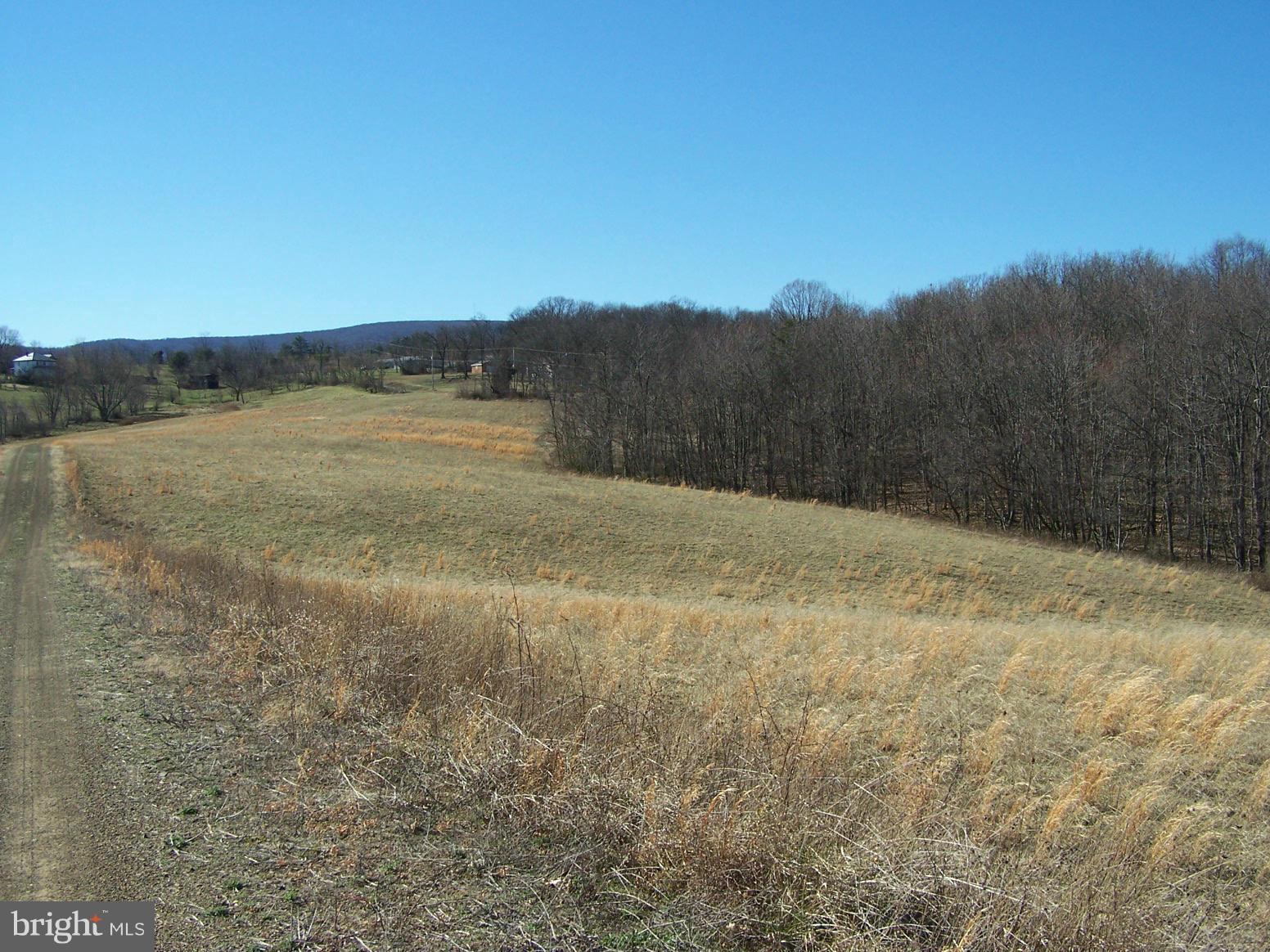 6757 Timber Ridge Road Berkeley Springs, WV 25411 - Photo 8 of 12 Exterior (General)
