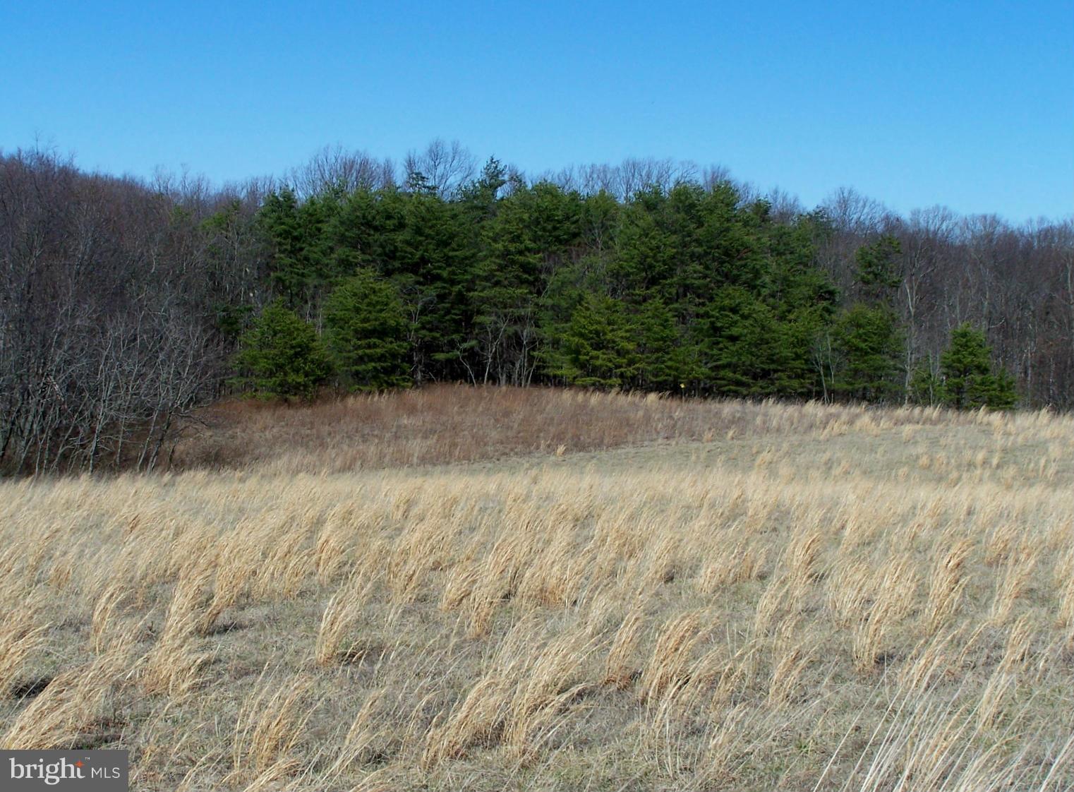 6757 Timber Ridge Road Berkeley Springs, WV 25411 - Photo 9 of 12 Proposed Perk Site