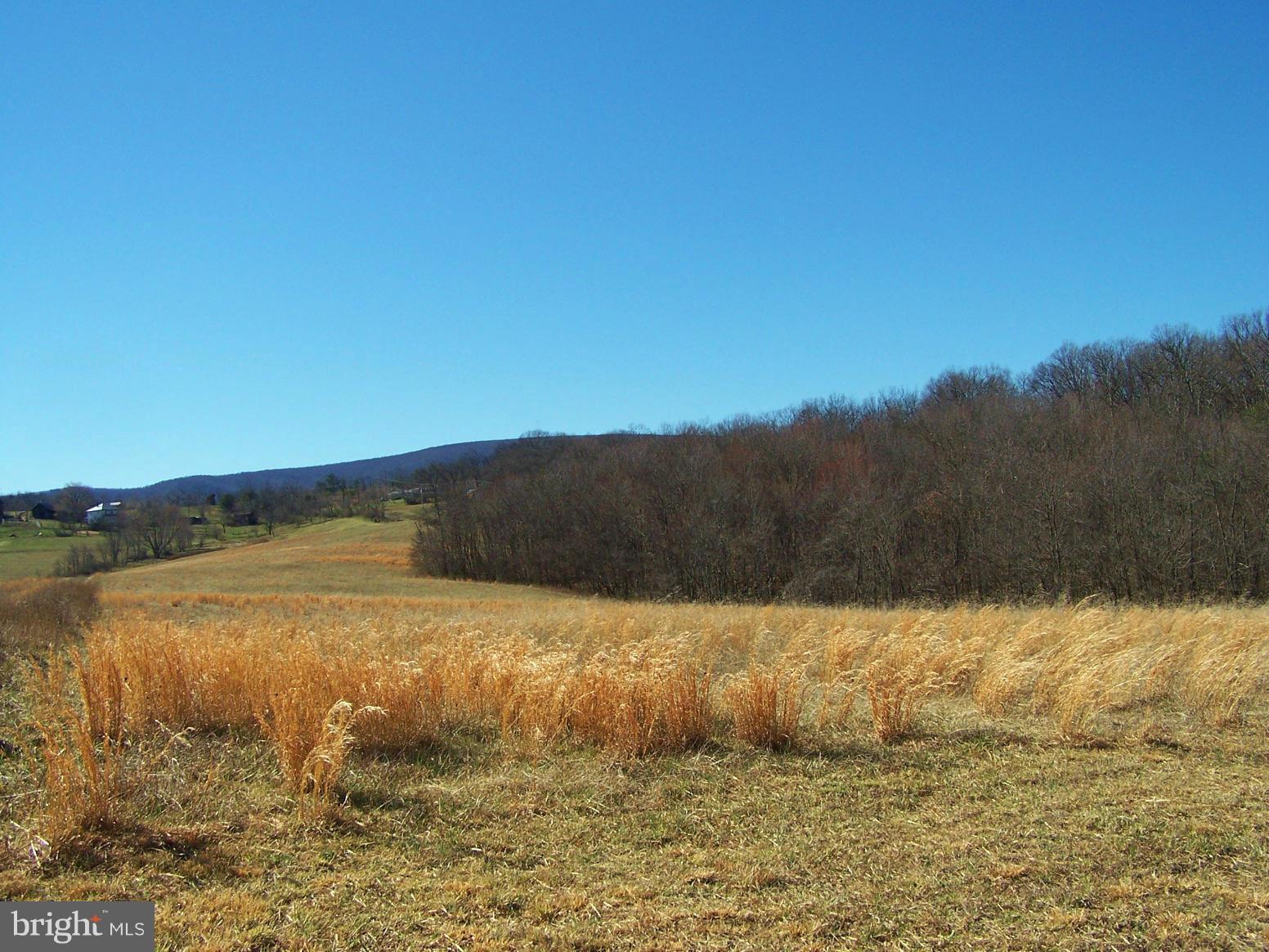 6757 Timber Ridge Road Berkeley Springs, WV 25411 - Photo 10 of 12 Exterior (General)