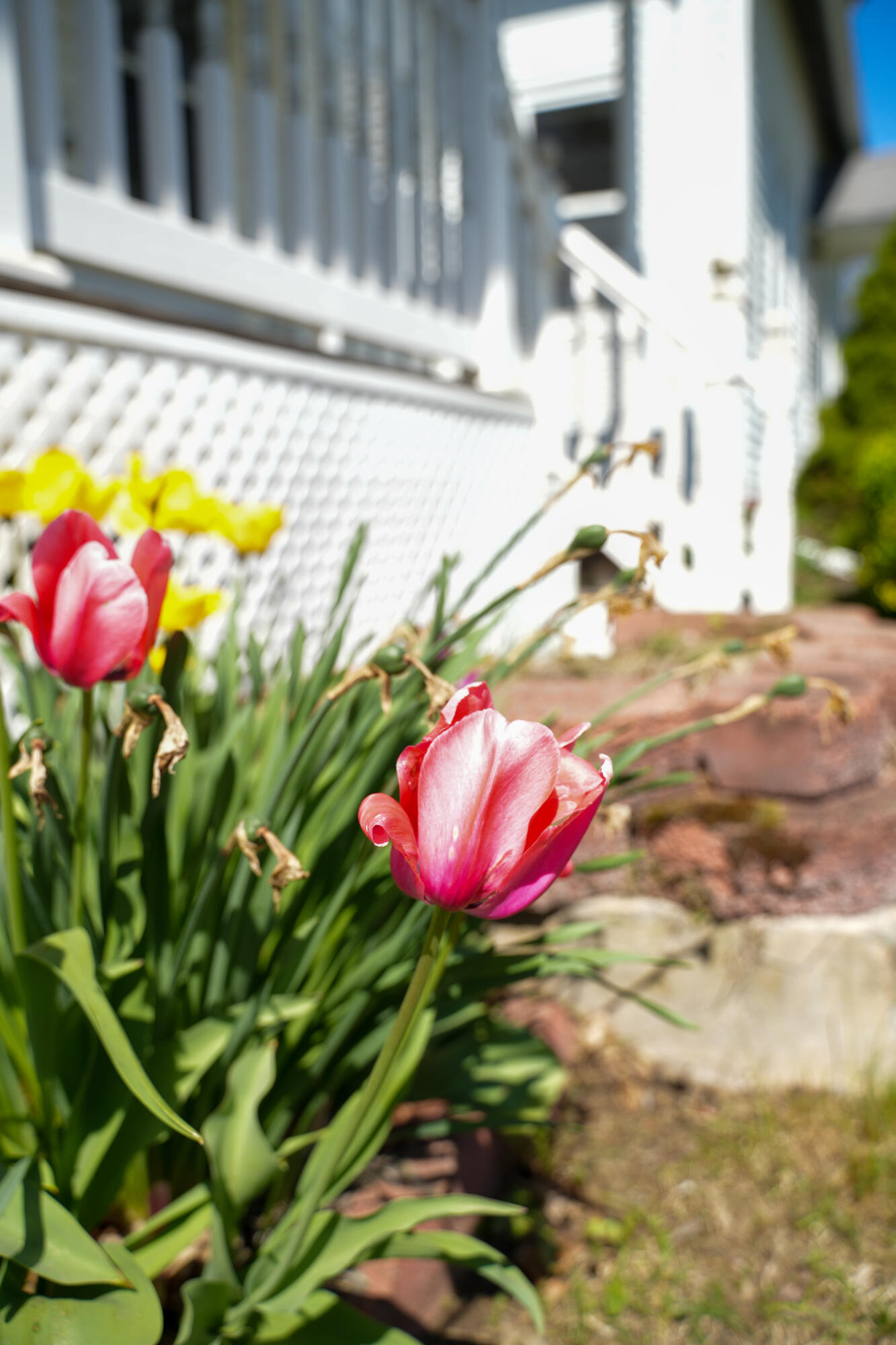 136 Lancaster Avenue Bangor, ME 04401 - Photo 11 of 44 DSC07363