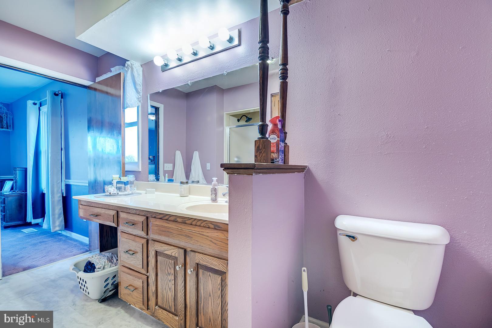 10046 Woodyard Road Greenwood, DE 19950 - Photo 26 of 45 a bathroom with a granite countertop toilet sink and mirror