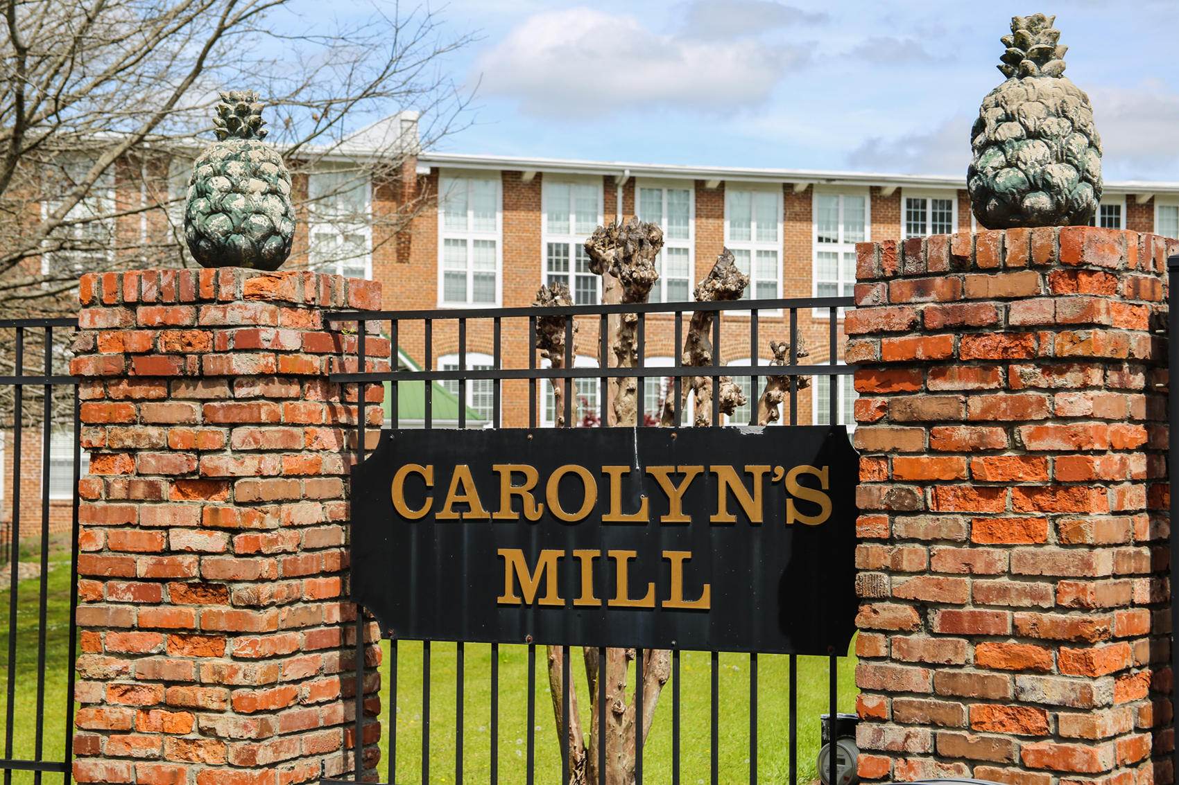 106 Carolyns Mill Place, Unit 106 Rockingham, NC 28379 - Photo 21 of 30 54