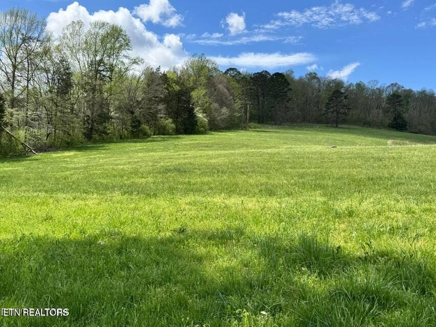 112 Shiloh Road Allred, TN 38542 - Photo 58 of 60 243662_57