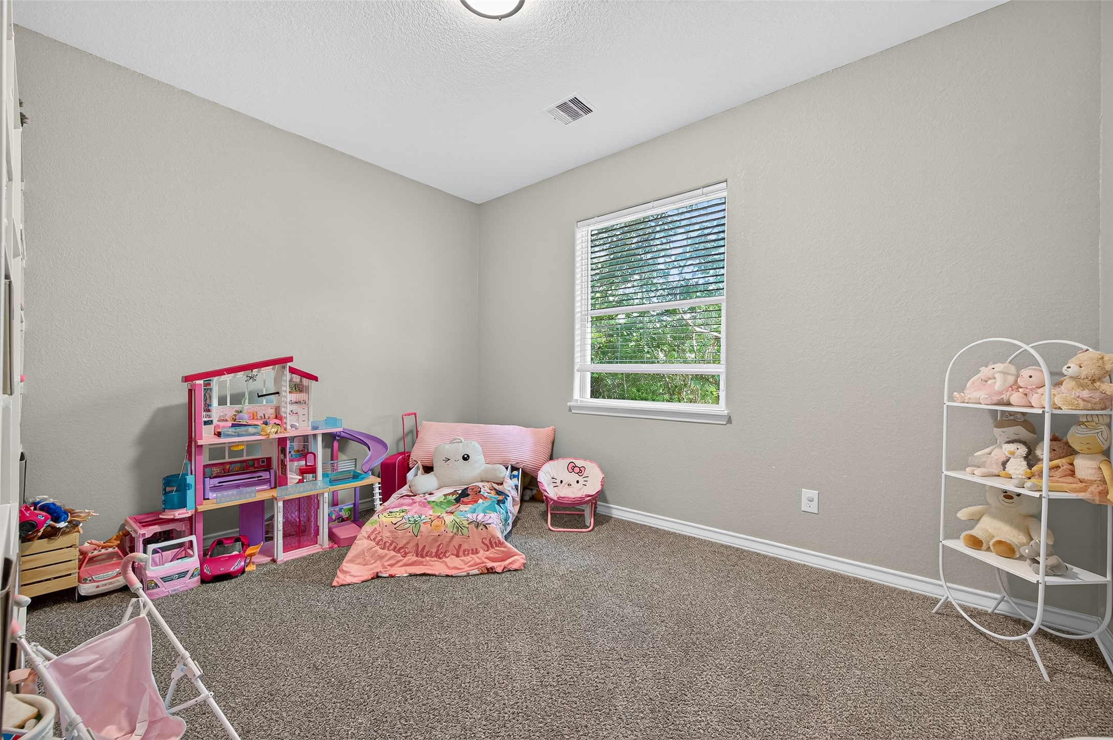 24530 Kildare Road Hempstead, TX 77445 - Photo 26 of 49