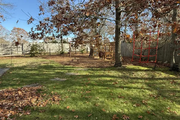 a view of a yard with a tree