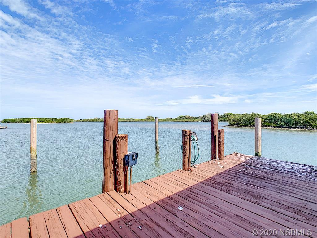 217 North Riverside Drive Edgewater, FL 32132 - Photo 43 of 49 Gallery Image 43