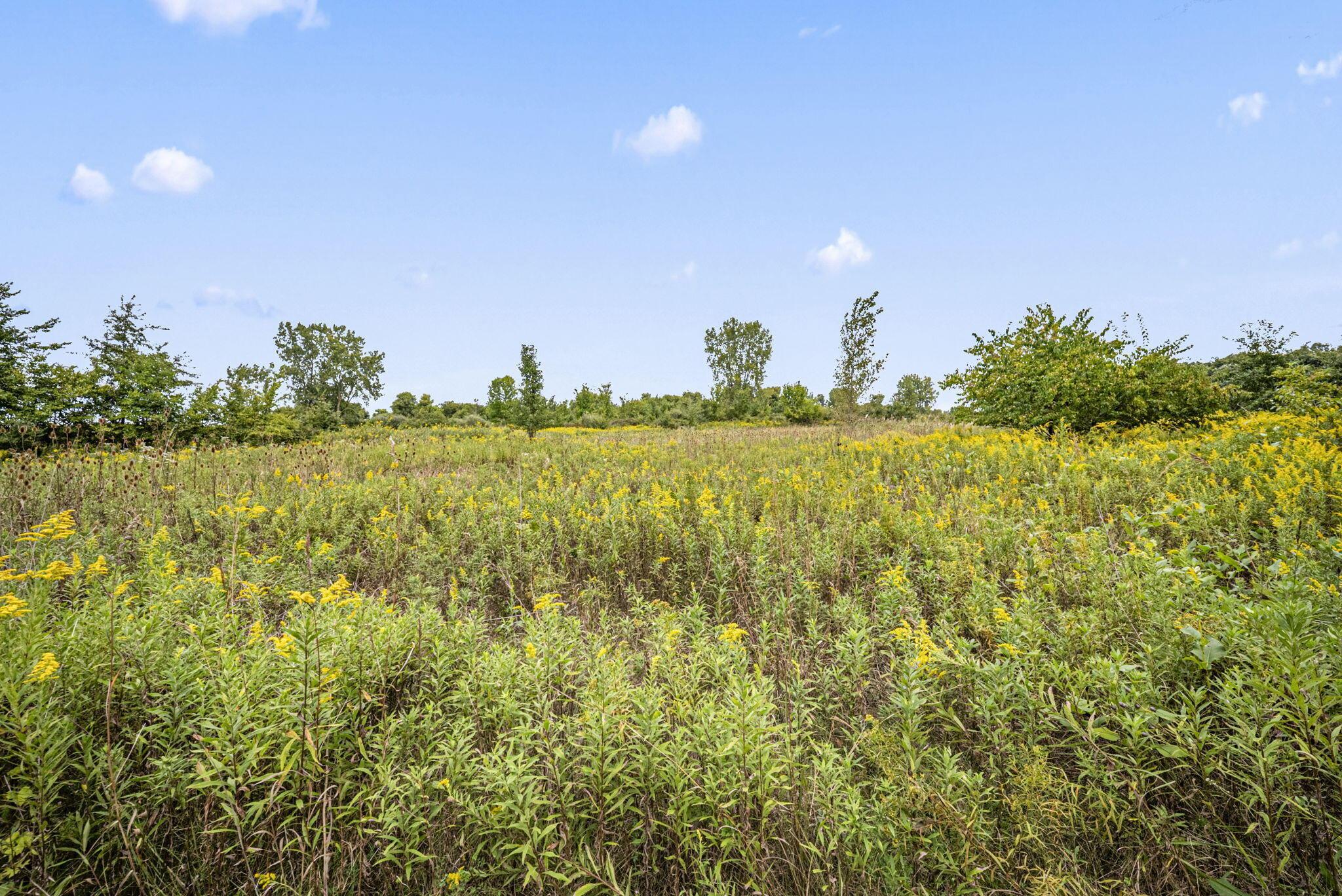 0 Likens Road Marion, OH 43302 - Photo 62 of 88 60-web-or-mls-DSC07074