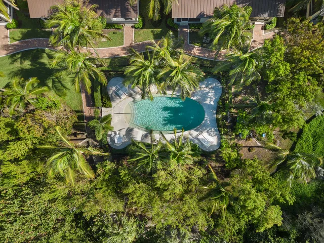 a plant with a plant