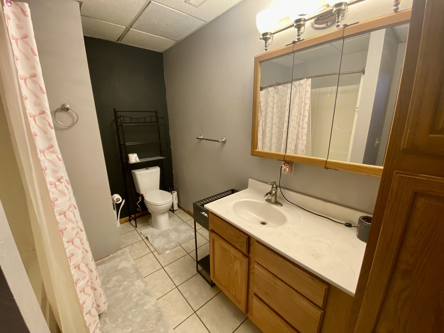 7645 Noltings Road Centralia, IL 62801 - Photo 17 of 18 a bathroom with a sink a toilet and a mirror