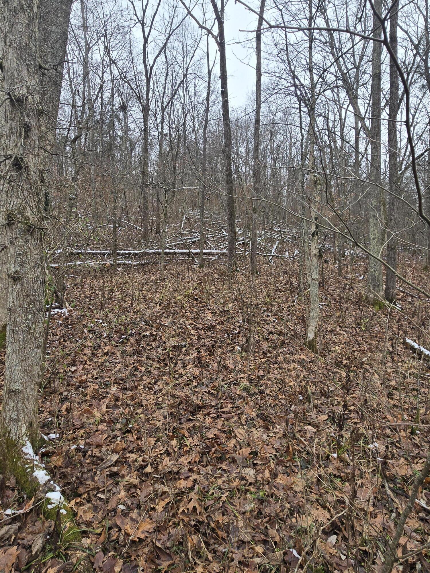 0 Baxter Ridge Road Lawrenceburg, KY 40342 - Photo 18 of 32 20251206_122650