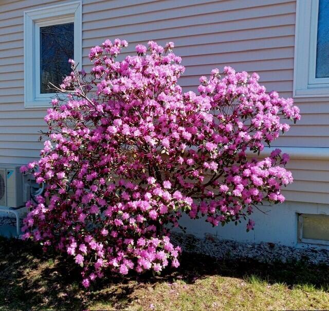 158 Chases Pond Road York, ME 03909 - Photo 33 of 35 Enjoyable landscaping