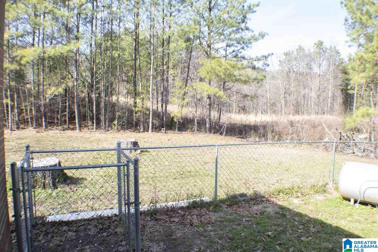 2021 Pumpkin Center Cut Off Road Quinton, AL 35130 - Photo 12 of 15