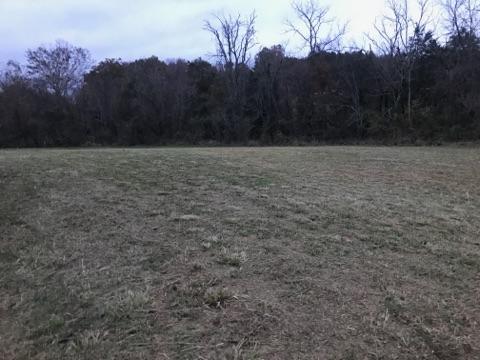 7897 Jim Wolfe Road Corryton, TN 37721 - Photo 6 of 8 IMG_9632