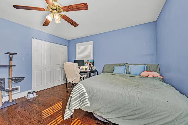 a view of a backyard with plants and large tree