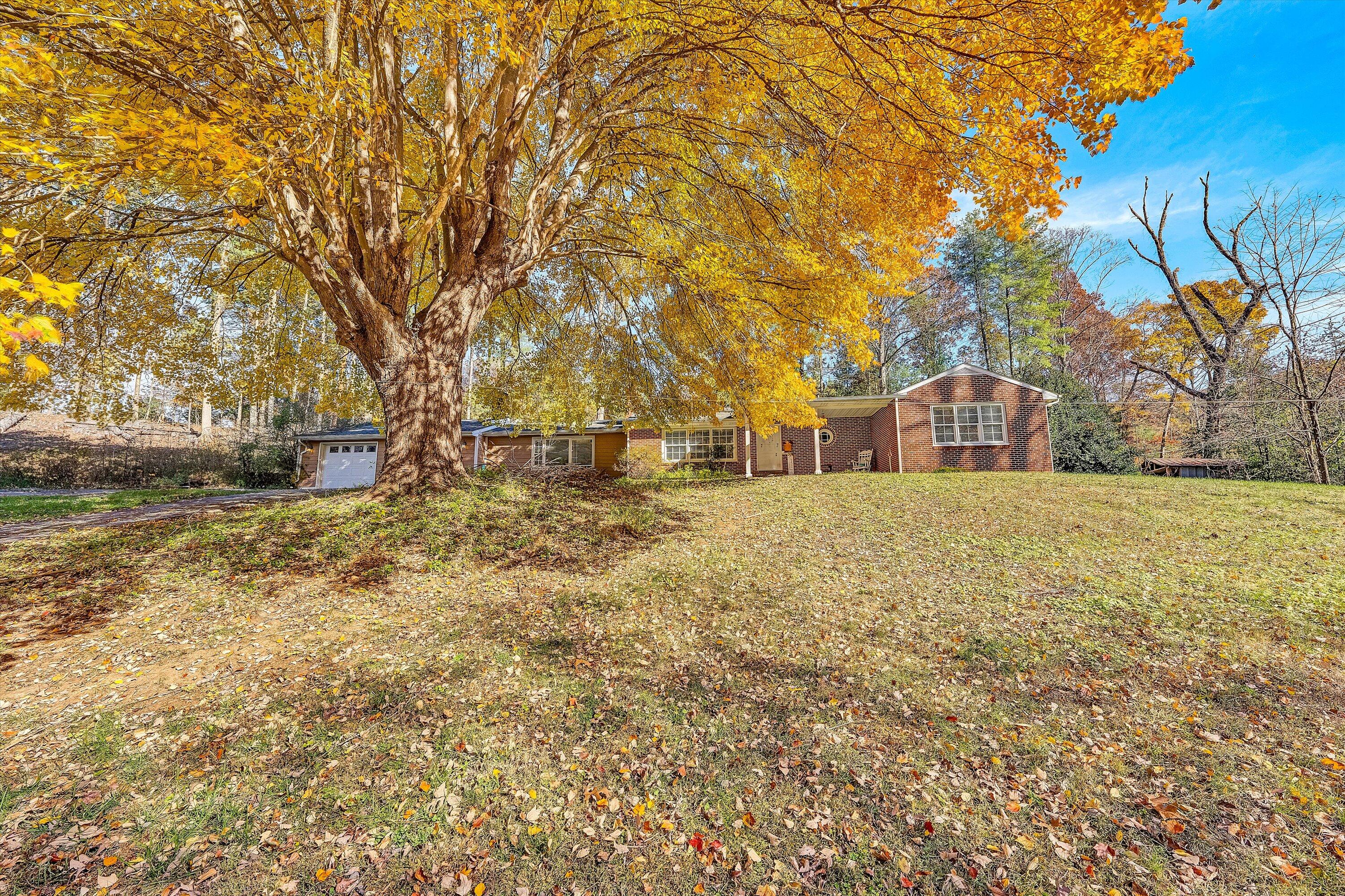 2320 Grassy Hill Road Rocky Mount, VA 24151 - Photo 47 of 57 a house with trees in front of it