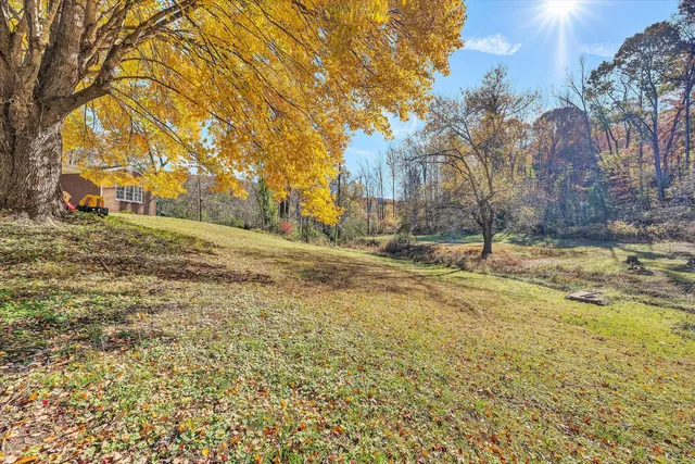 a view of swimming pool with a yard and large trees