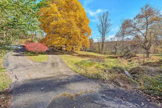 a view of outdoor space with garden