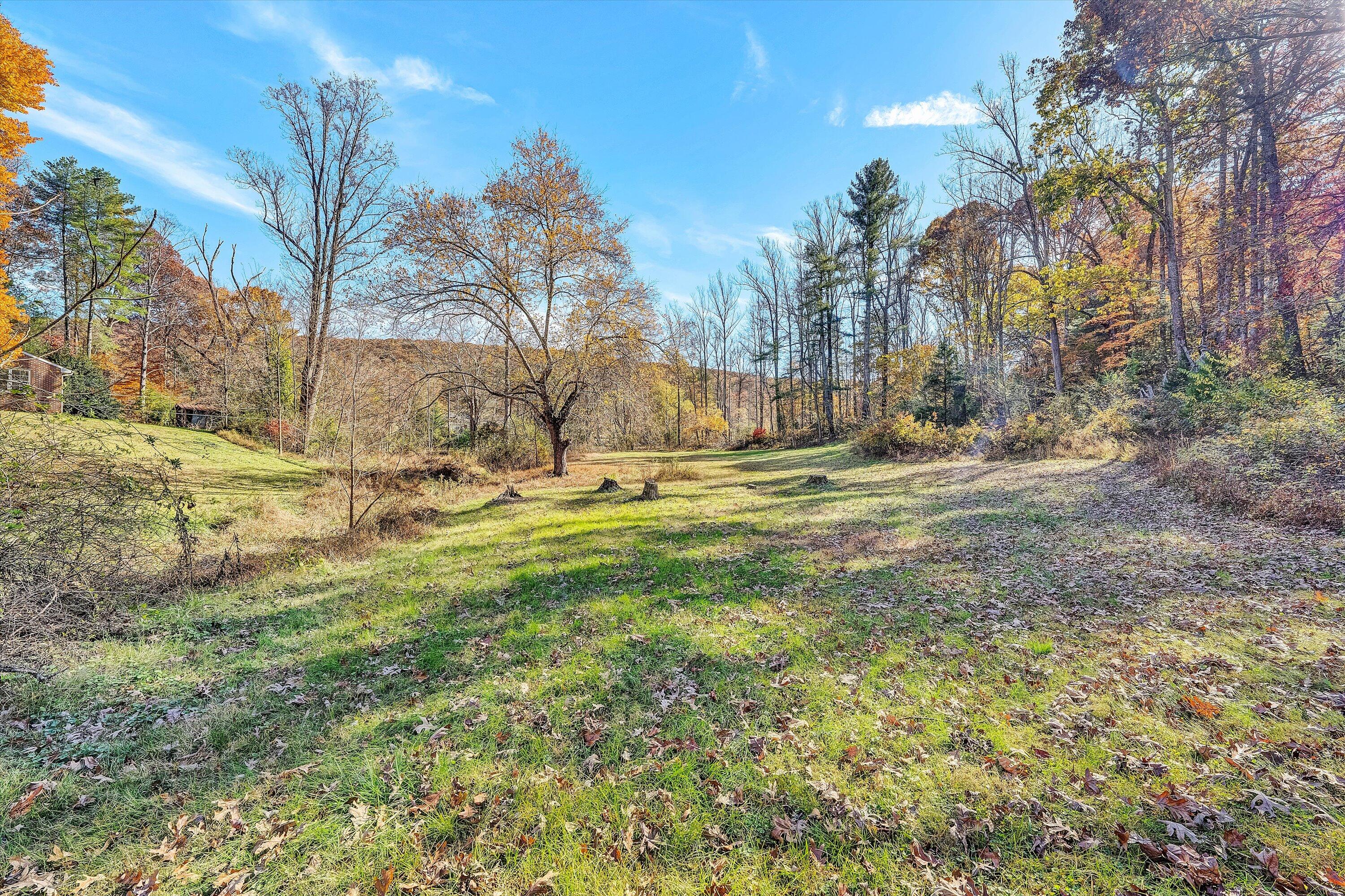 2320 Grassy Hill Road Rocky Mount, VA 24151 - Photo 51 of 57 56-SGP-07587