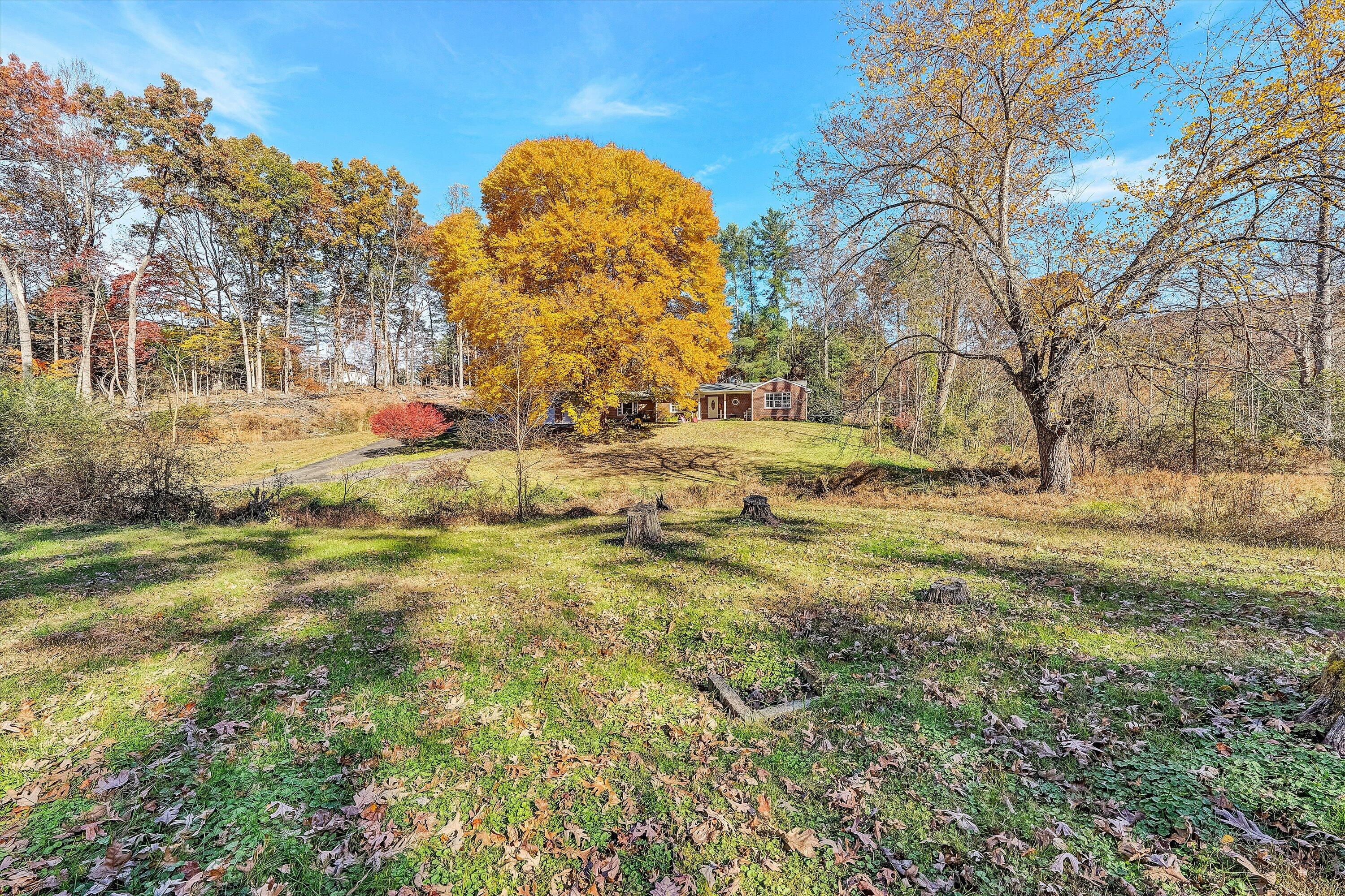 2320 Grassy Hill Road Rocky Mount, VA 24151 - Photo 52 of 57 a view of swimming pool with a yard and large trees