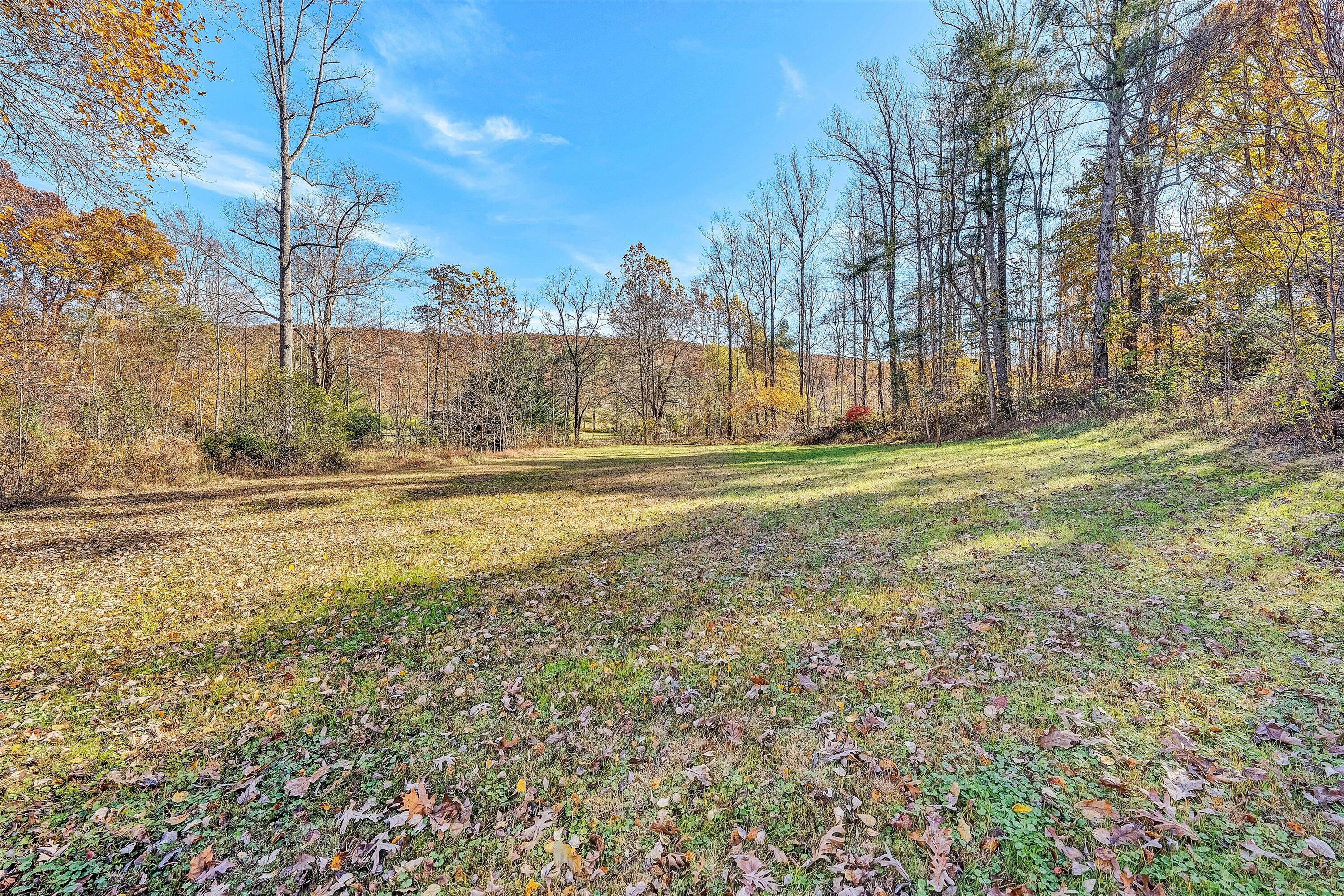2320 Grassy Hill Road Rocky Mount, VA 24151 - Photo 53 of 57 a view of a big yard with large trees