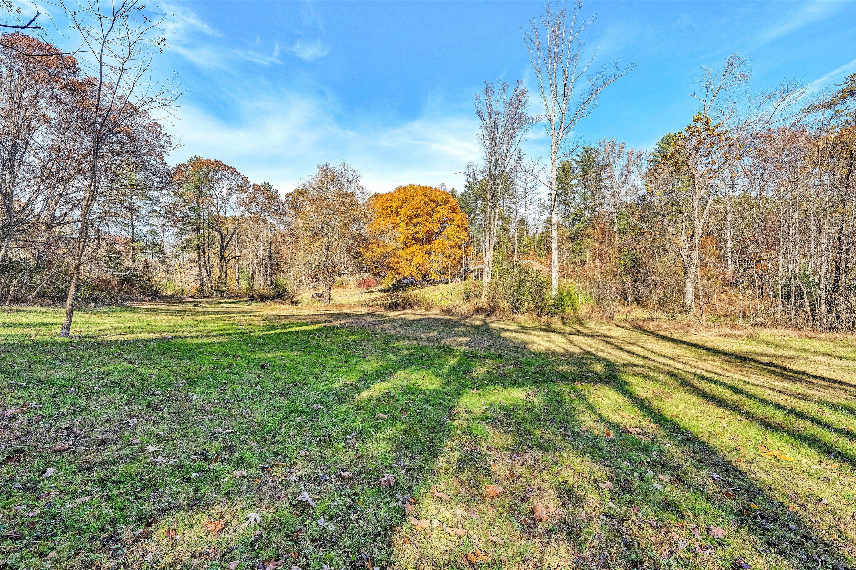 2320 Grassy Hill Road Rocky Mount, VA 24151 - Photo 54 of 57 a view of outdoor space with garden
