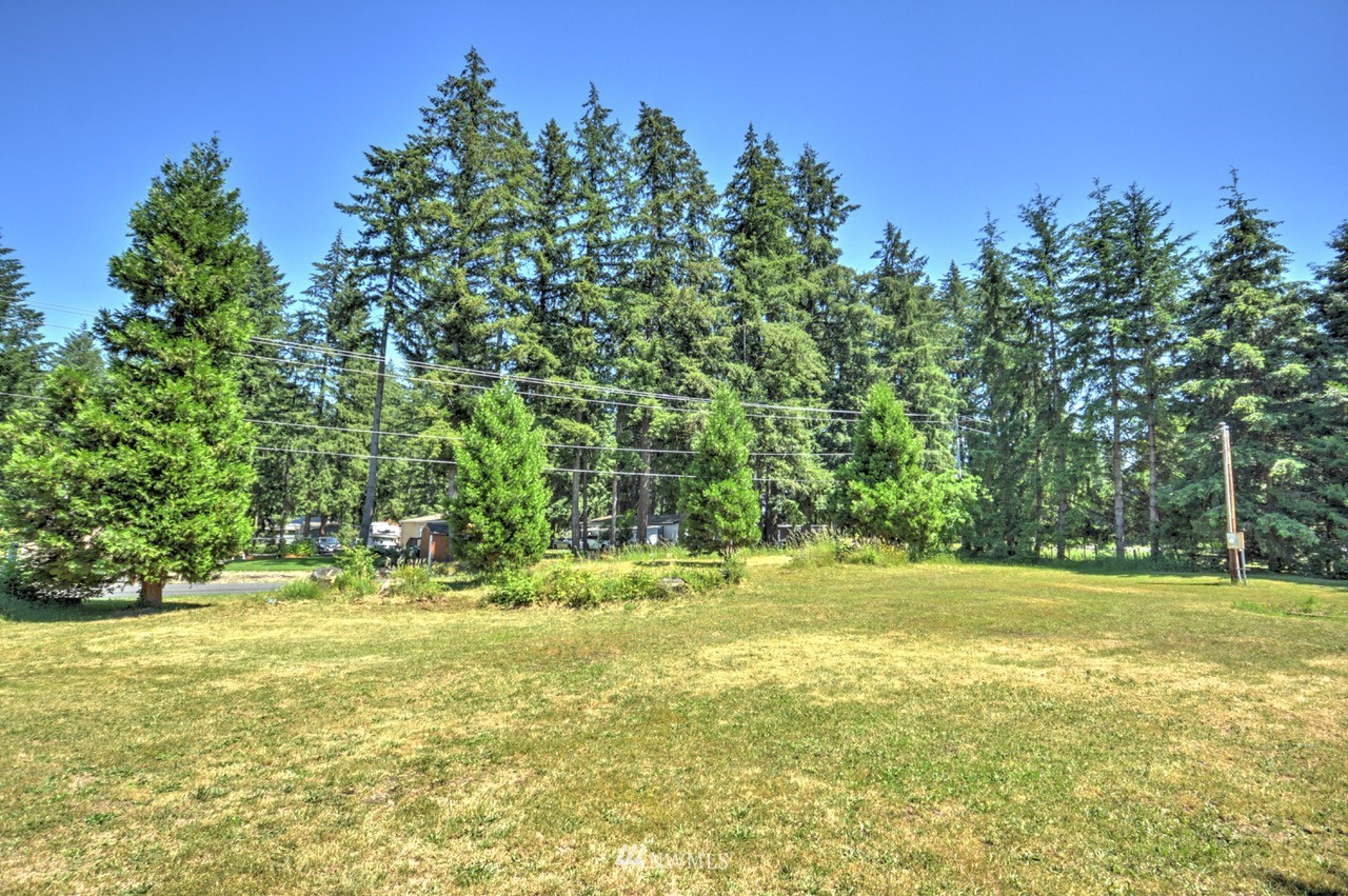17327 Sargent Road Southwest Rochester, WA 98579 - Photo 2 of 23 a view of a yard with a trees