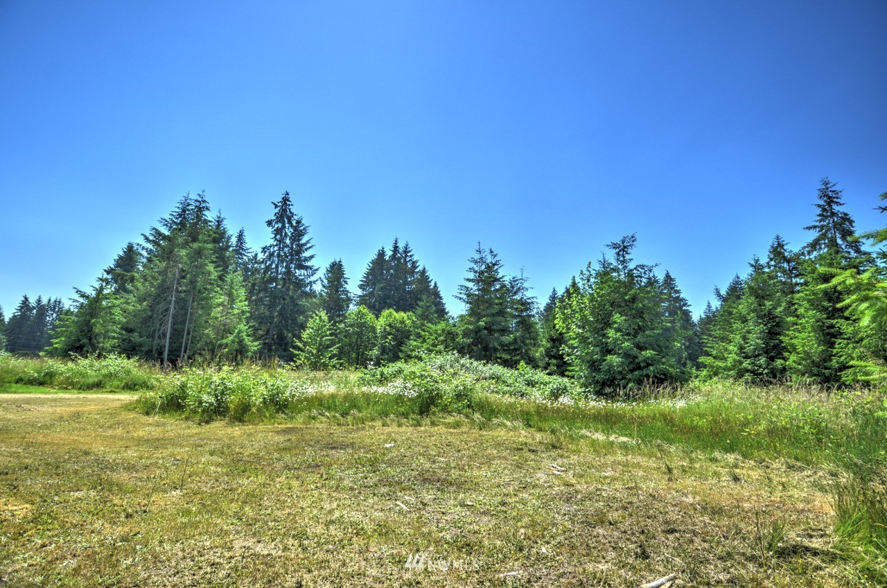 17327 Sargent Road Southwest Rochester, WA 98579 - Photo 22 of 23 a view of a grassy field with trees in the background