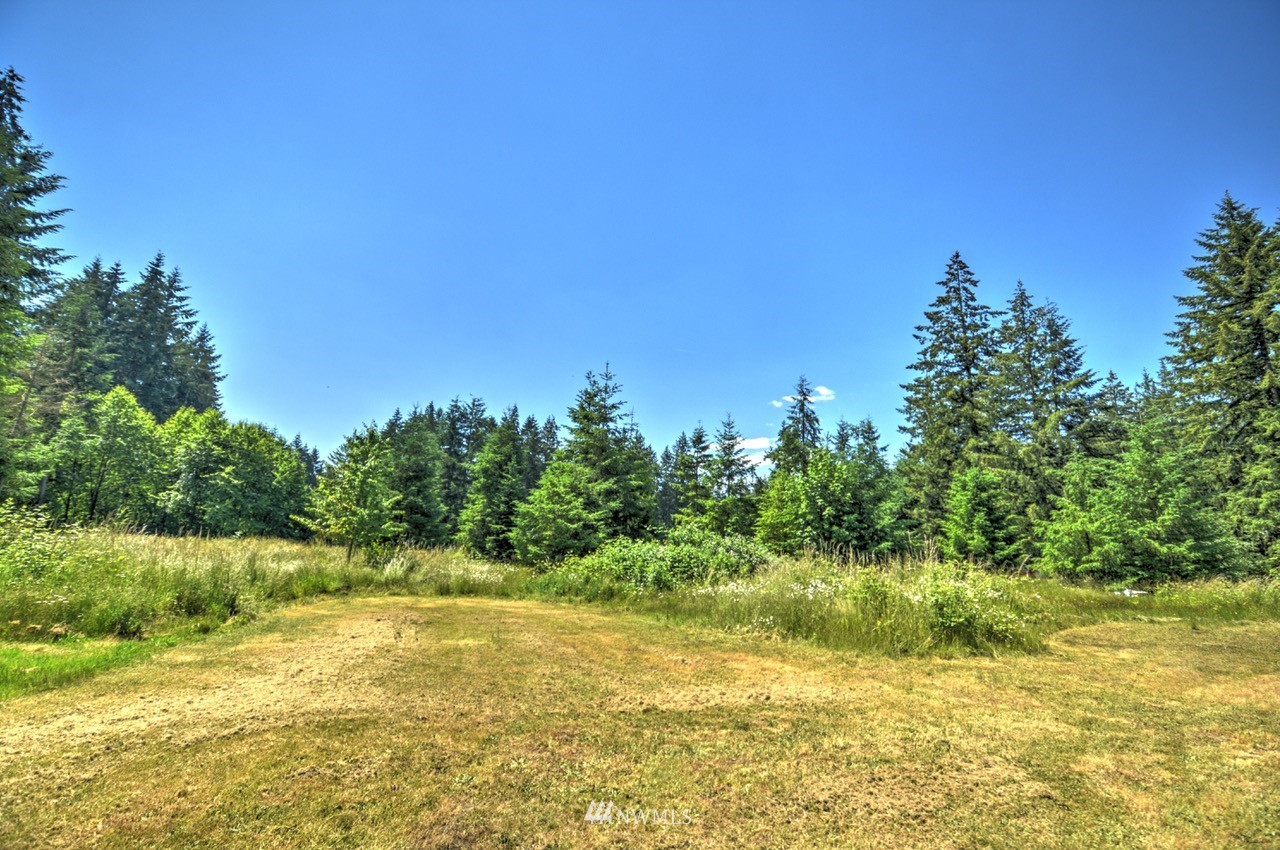 17327 Sargent Road Southwest Rochester, WA 98579 - Photo 23 of 23 a view of an ocean from a yard