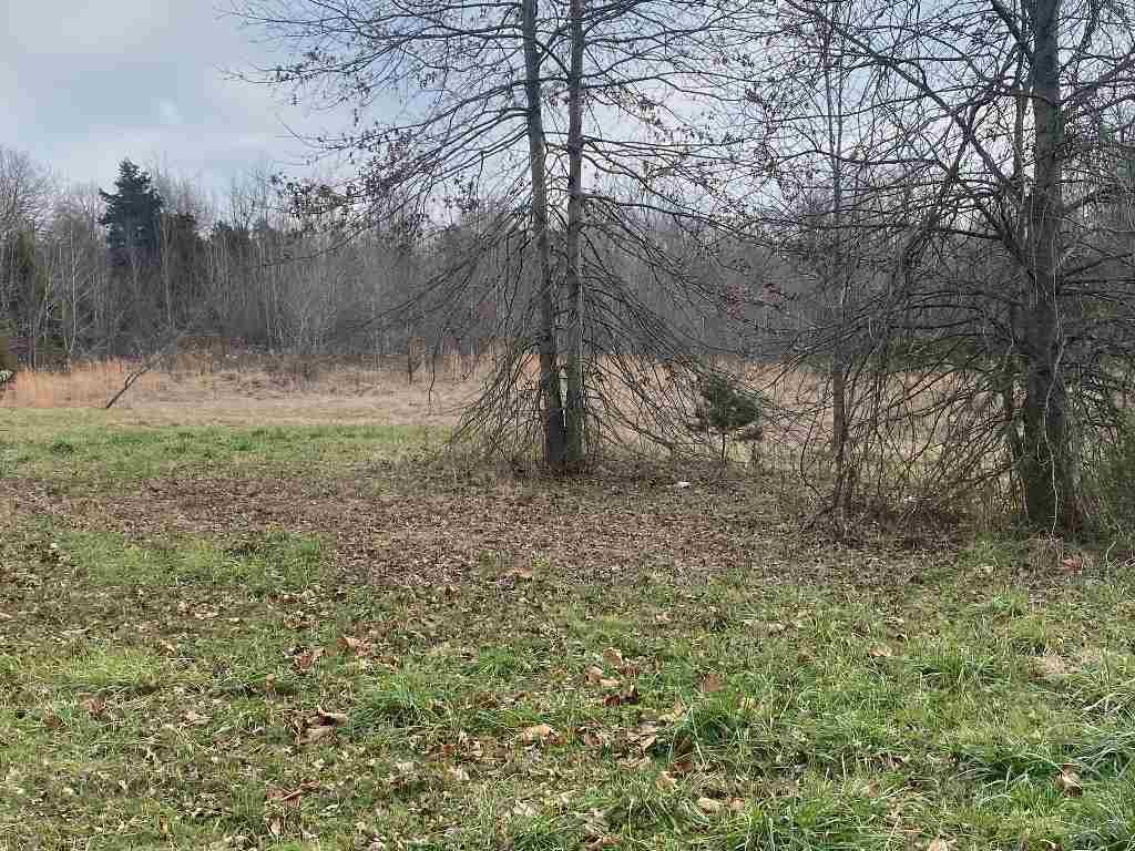 720 Jenny Road Cave City, KY 42127 - Photo 1 of 1 Gallery Image 1
