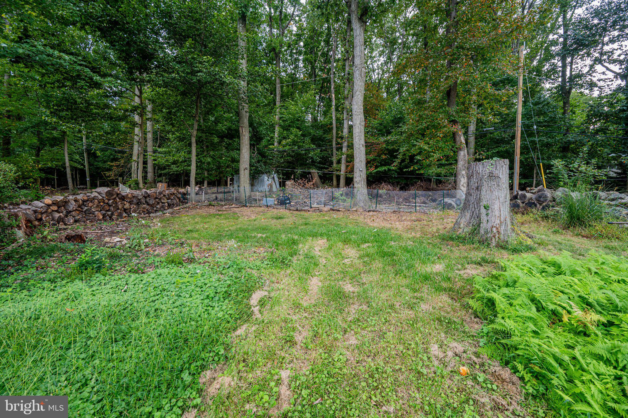 925 Cromwell Bridge Road Towson, MD 21286 - Photo 27 of 36 Yard