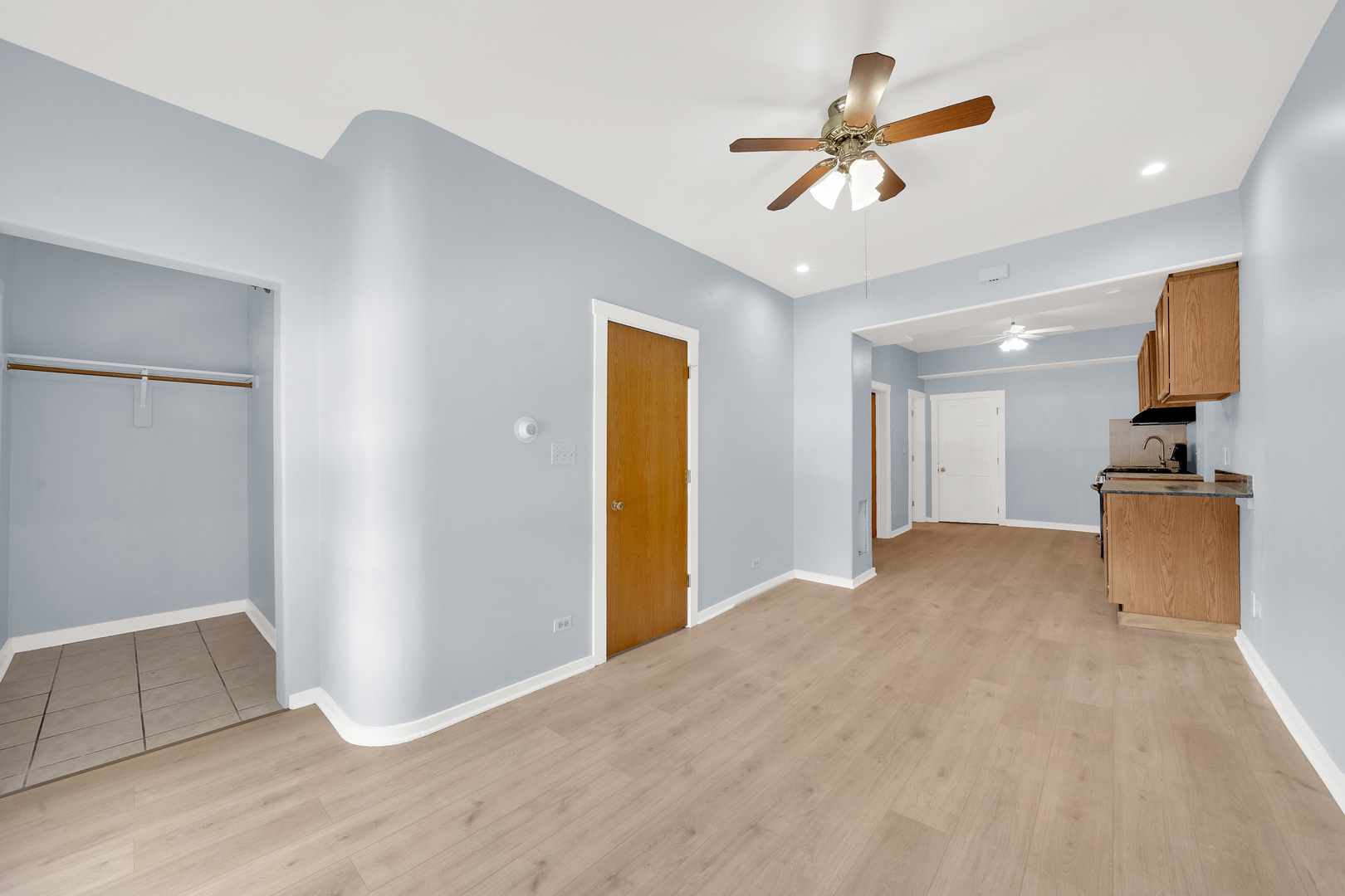 3826 South Honore Street Chicago, IL 60609 - Photo 19 of 19 a view of a livingroom with a ceiling fan