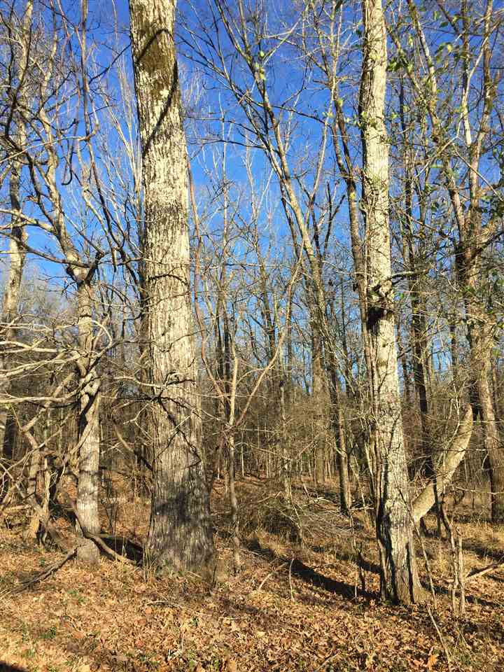 471 Rocky Hill Road Pickens, MS 39146 - Photo 11 of 14 Photo 11