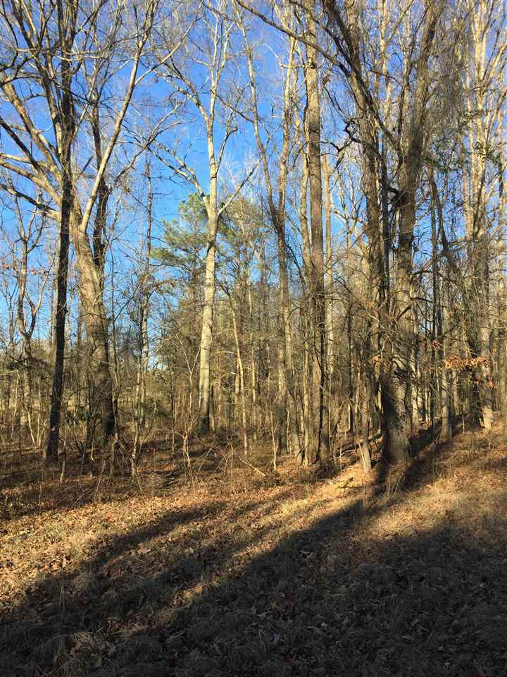 471 Rocky Hill Road Pickens, MS 39146 - Photo 12 of 14 Photo 12