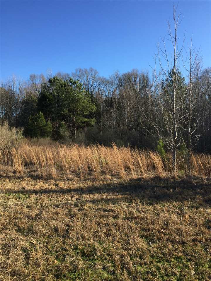 471 Rocky Hill Road Pickens, MS 39146 - Photo 3 of 14 Photo 3