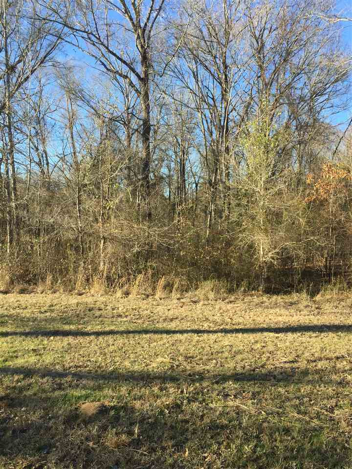 471 Rocky Hill Road Pickens, MS 39146 - Photo 4 of 14 Photo 4