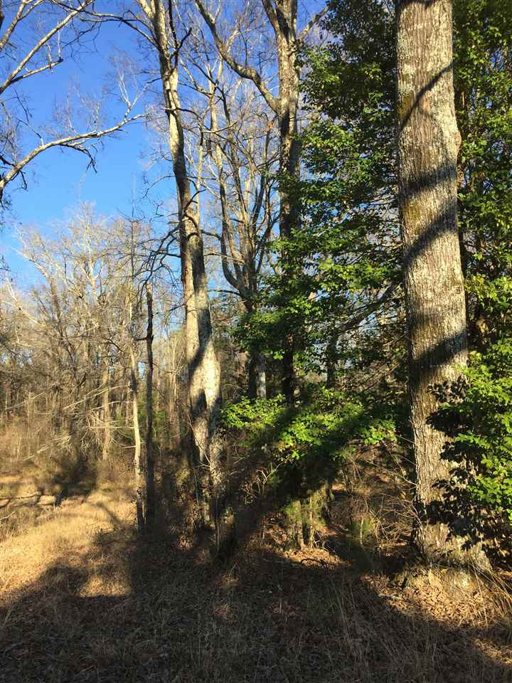 471 Rocky Hill Road Pickens, MS 39146 - Photo 5 of 14 Photo 5