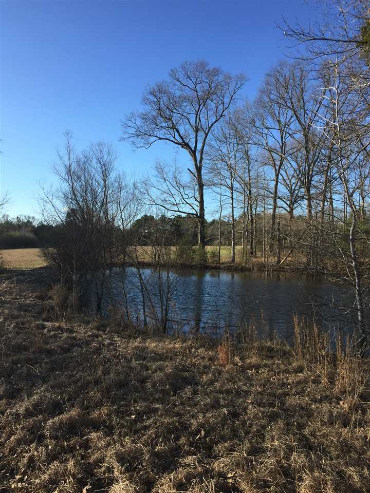 471 Rocky Hill Road Pickens, MS 39146 - Photo 7 of 14 Photo 7