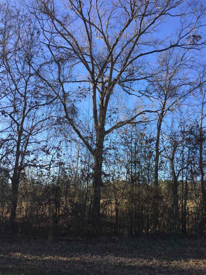 471 Rocky Hill Road Pickens, MS 39146 - Photo 9 of 14 Photo 9