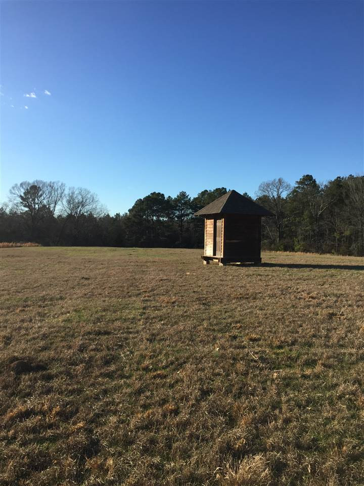 471 Rocky Hill Road Pickens, MS 39146 - Photo 10 of 14 Photo 10