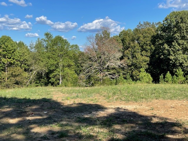 89 Shannon Road Leoma, TN 38468 - Photo 7 of 26