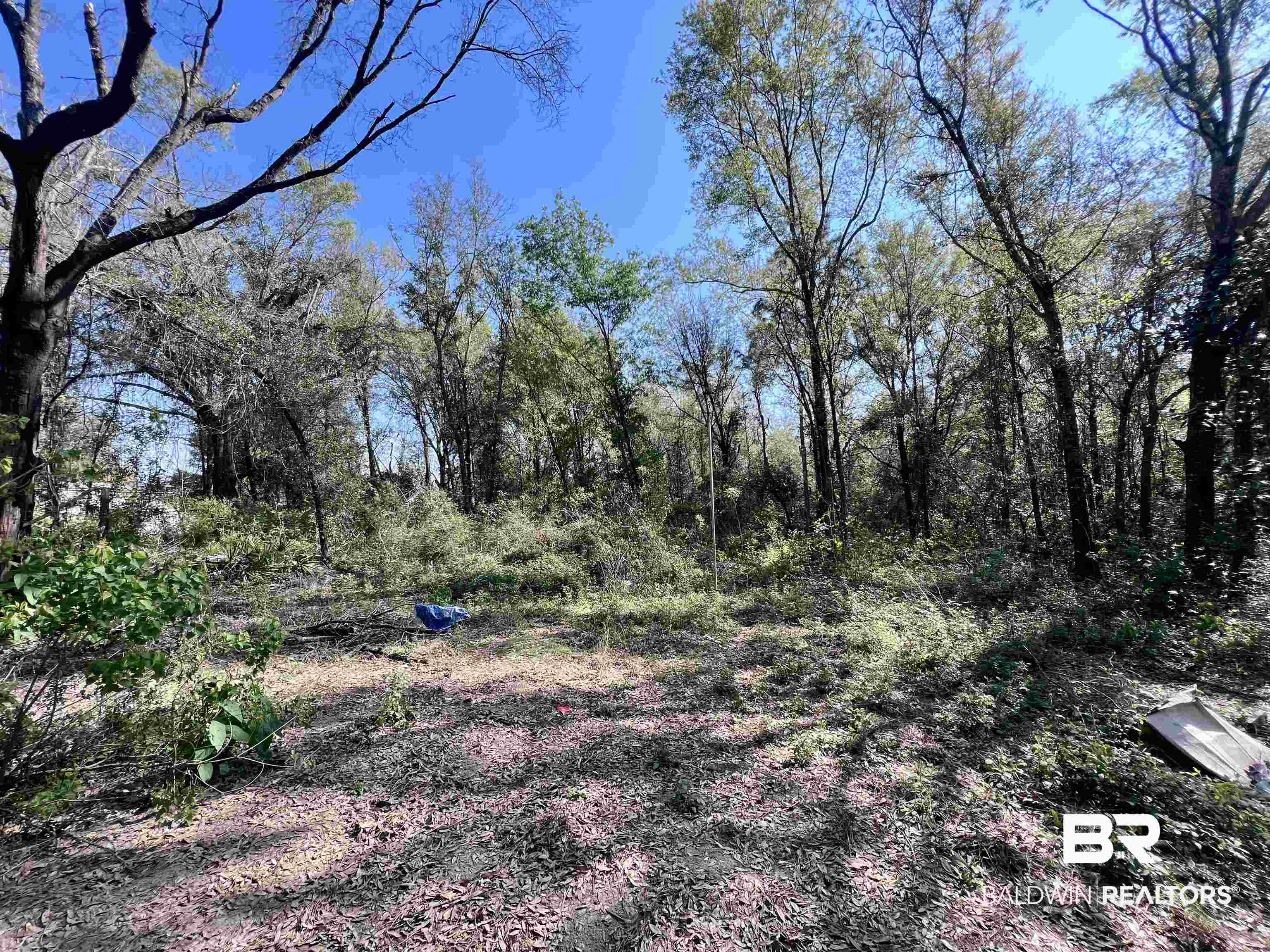 19338 3 Rivers Road Seminole, AL 36574 - Photo 1 of 20